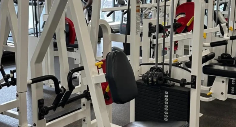 Strive Fitness _ ROW